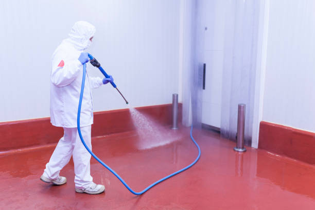 Professional Pressure Washing in Hopewell, NJ
